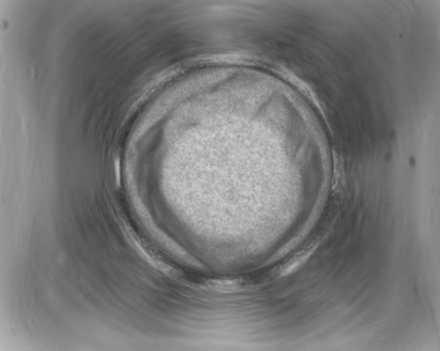 X0000085800061200704131931