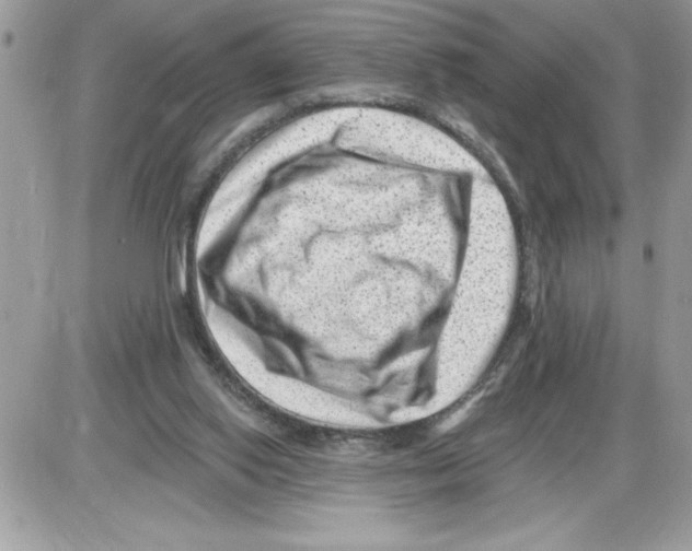 X0000085800062200704131931