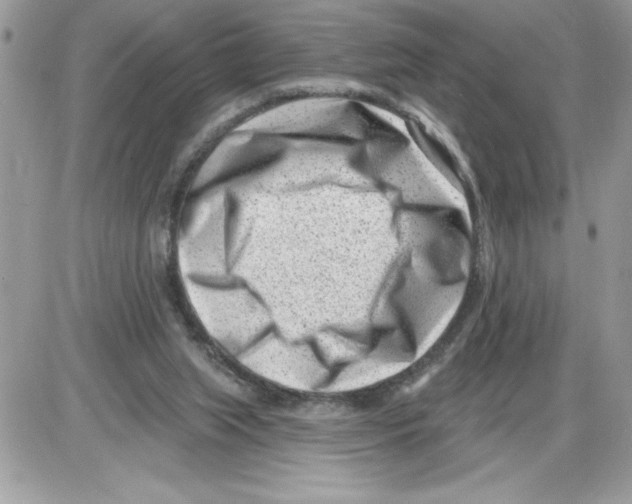 X0000085800063200704131931