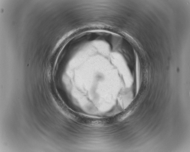 X0000085800064200704131931