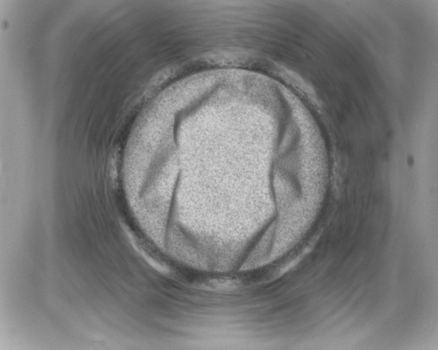 X0000085800065200704131931