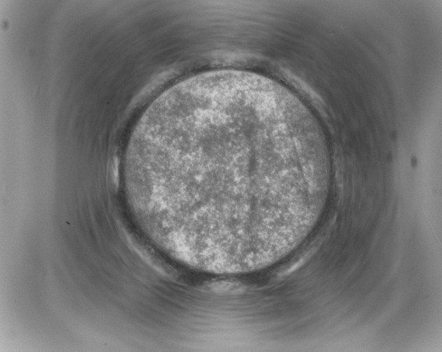 X0000085800067200704131931