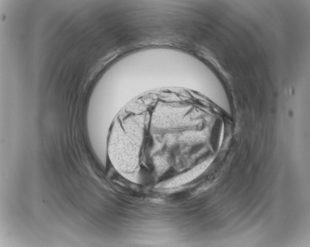 X0000085800068200704131931