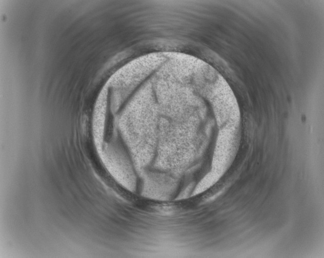 X0000085800071200704131932