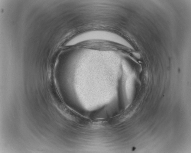 X0000085800072200704131932