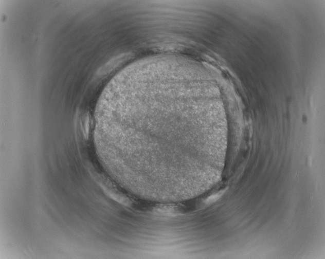 X0000085800076200704131932