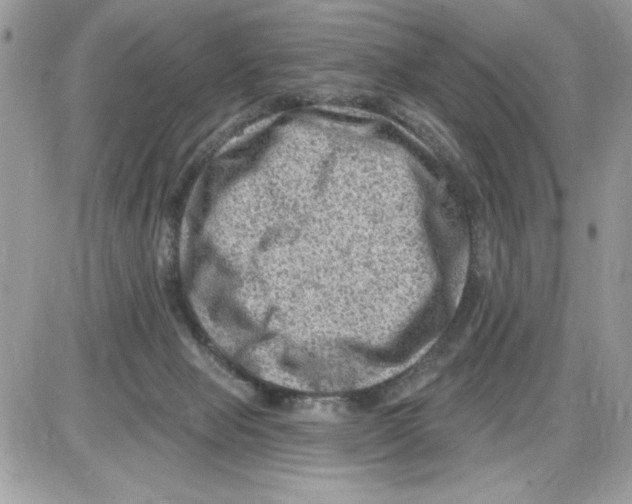 X0000085800077200704131932