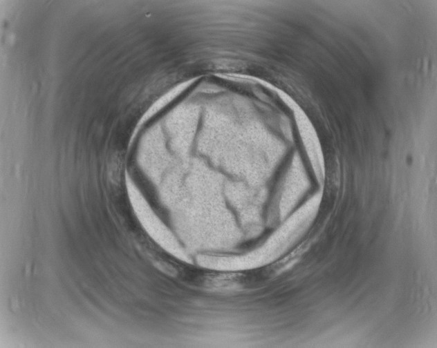 X0000085800078200704131932