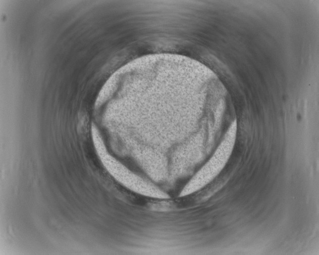 X0000085800079200704131932