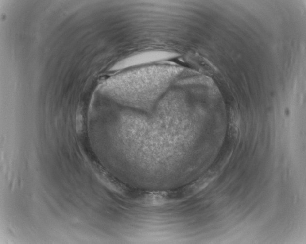 X0000085800080200704131932