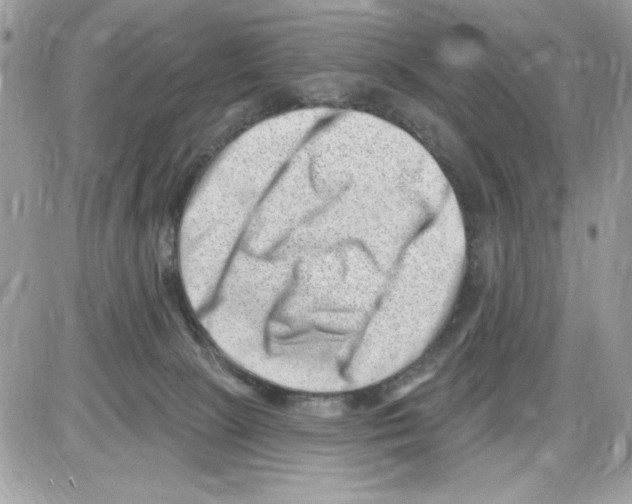 X0000085800081200704131932