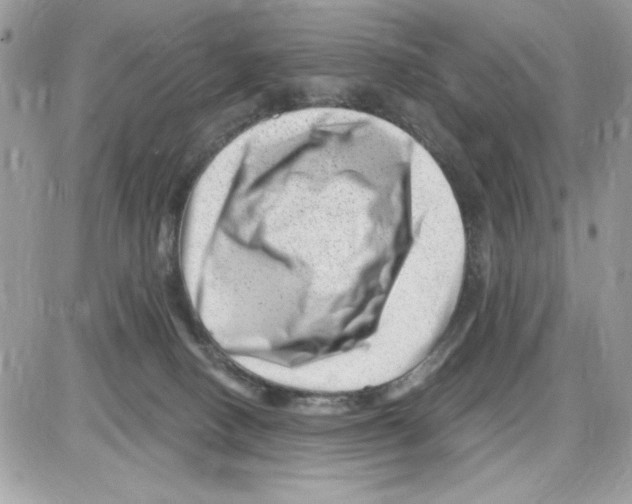 X0000085800082200704131932