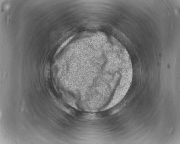 X0000085800083200704131932