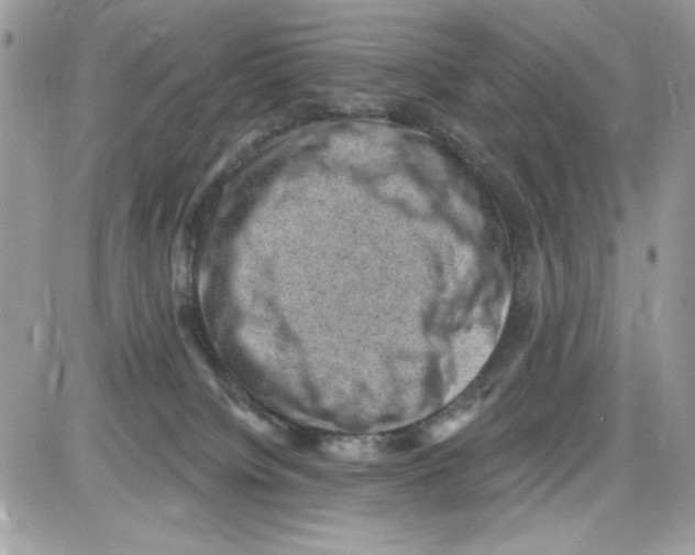 X0000085800084200704131932