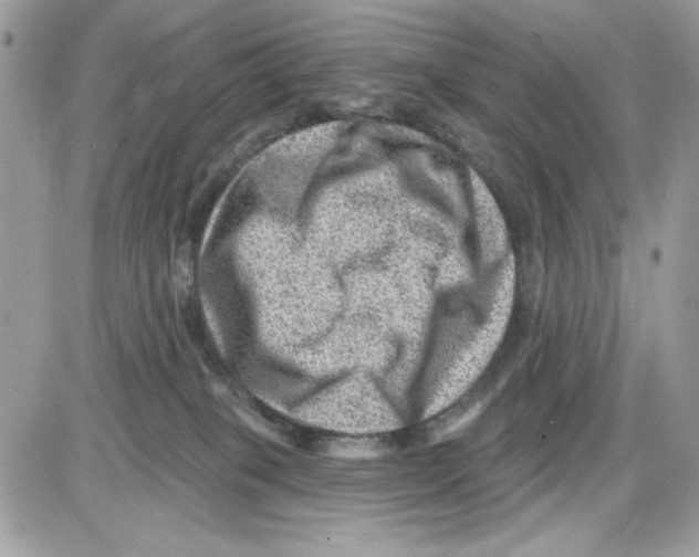 X0000085800085200704131932