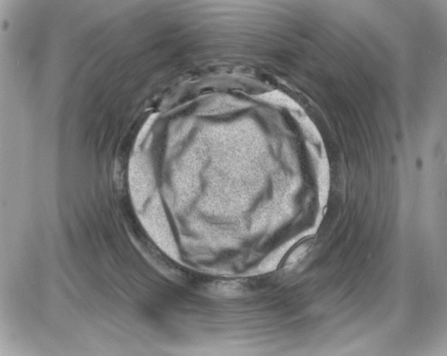 X0000085800086200704131932