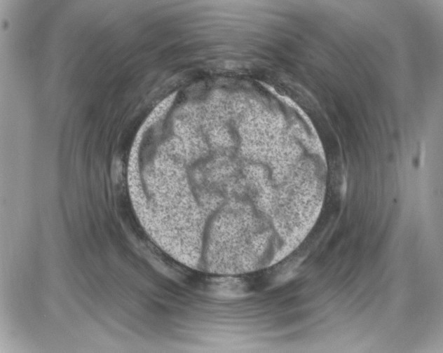 X0000085800087200704131932