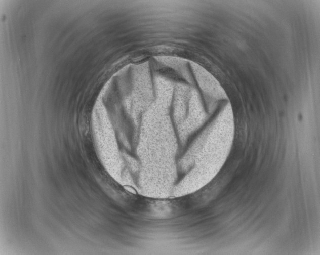 X0000085800091200704131932