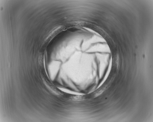 X0000085800092200704131932