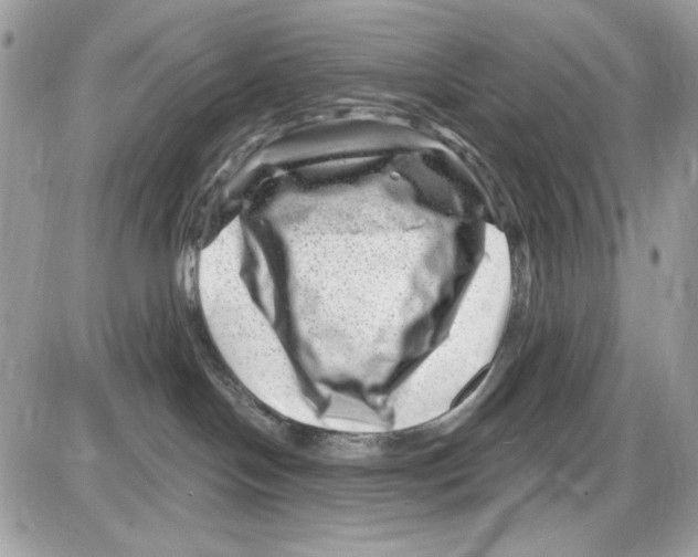 X0000085800094200704131932