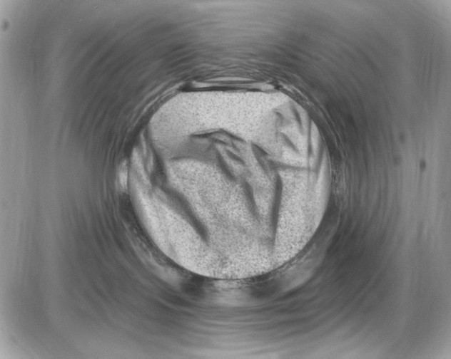 X0000085800095200704131932