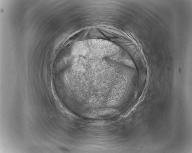 X0000085800097200704131931