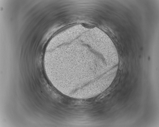 X0000085800098200704131931