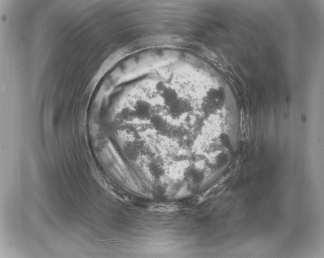 X0000085800099200704131931