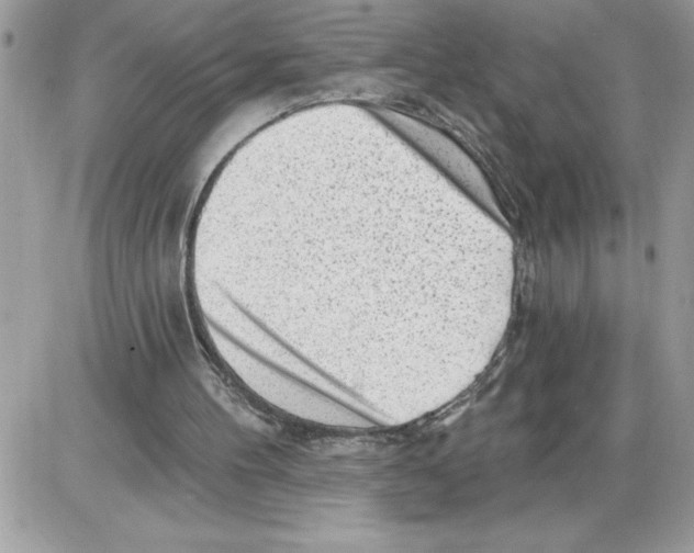 X0000085800100200704131931