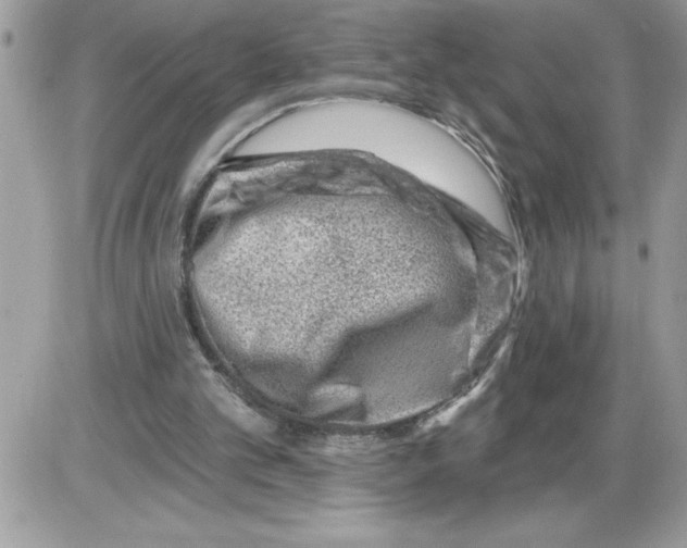 X0000085800101200704131931