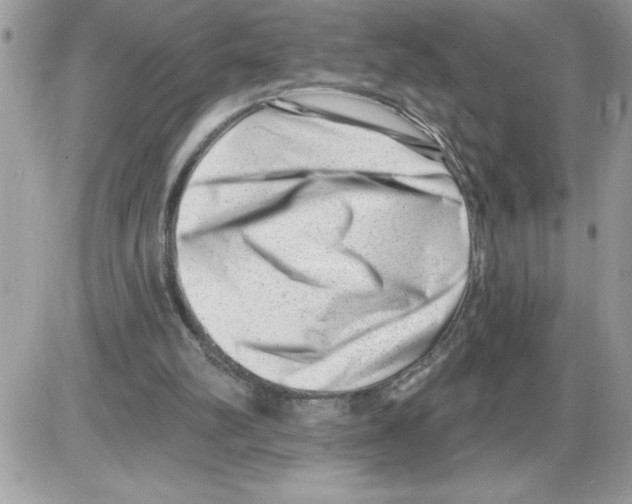 X0000085800102200704131931