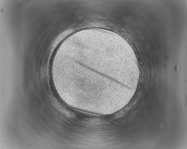 X0000085800104200704131931