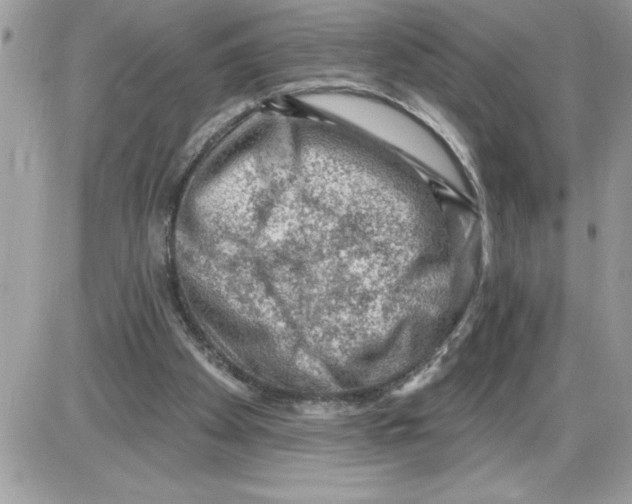 X0000085800105200704131931