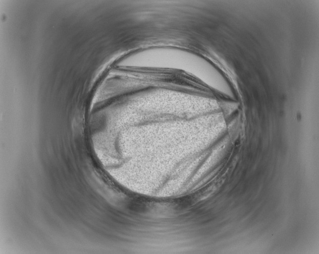 X0000085800107200704131931