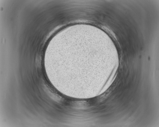 X0000085800108200704131931