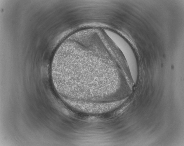 X0000085800111200704131931