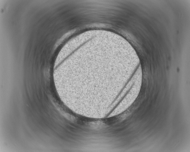 X0000085800112200704131931