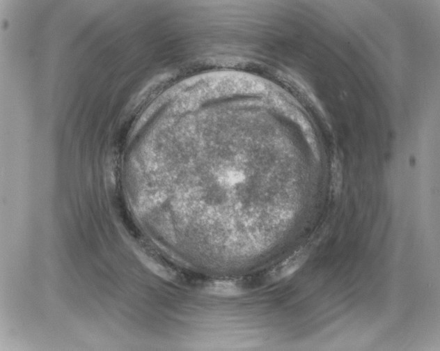 X0000085800114200704131931