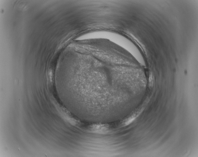 X0000085800117200704131931