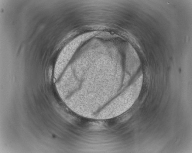 X0000085800118200704131931