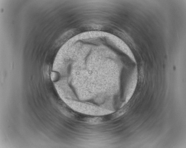 X0000085800122200704131931