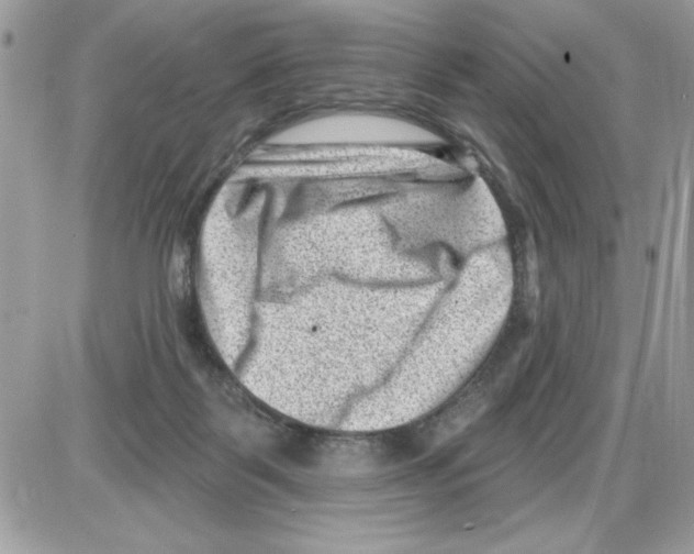 X0000085800123200704131931