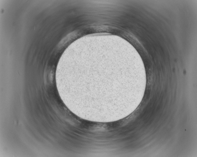 X0000085800124200704131931