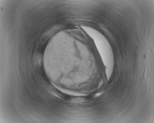 X0000085800125200704131931