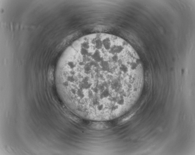 X0000085800127200704131931