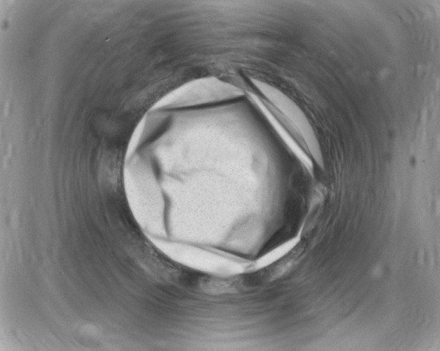 X0000085800129200704131931