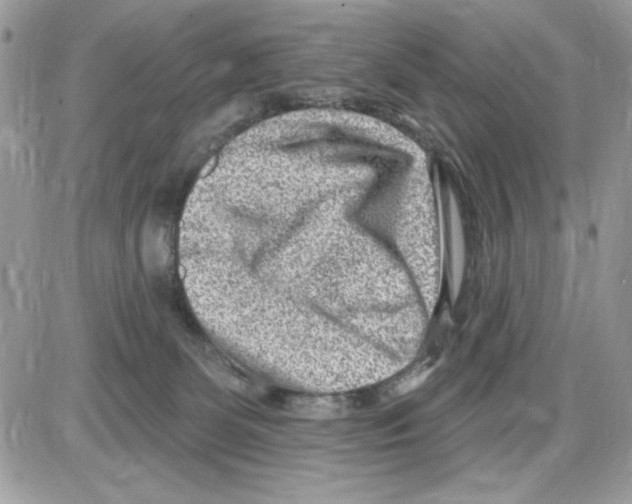 X0000085800131200704131931