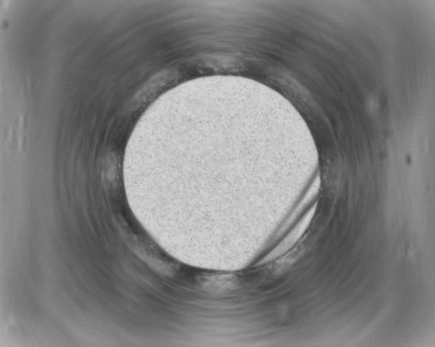 X0000085800132200704131931