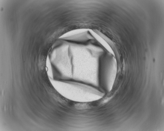 X0000085800133200704131931