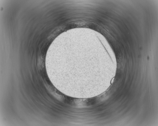 X0000085800136200704131930